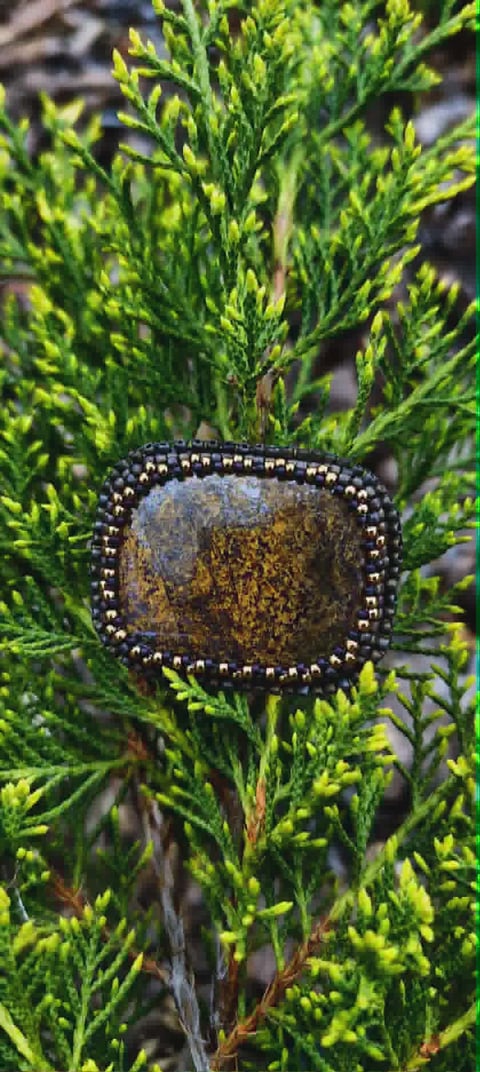Close-up of a beaded stone or fossil with metallic luster nestled among bright green needle-like evergreen foliage