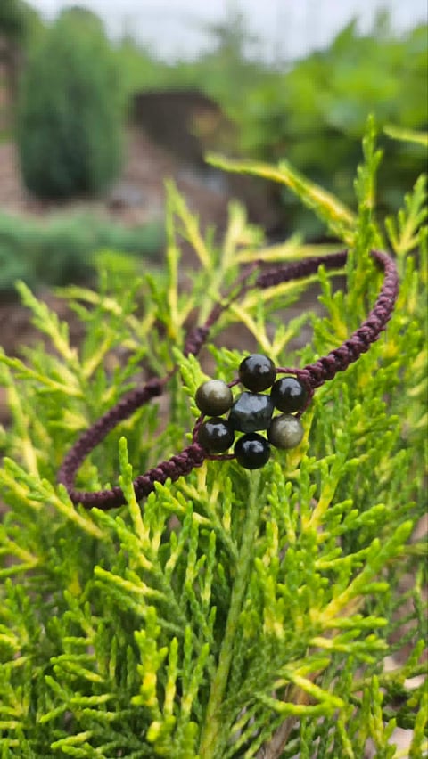 Close-up of ripe black berries on a feathery green plant with purple stems in a garden setting