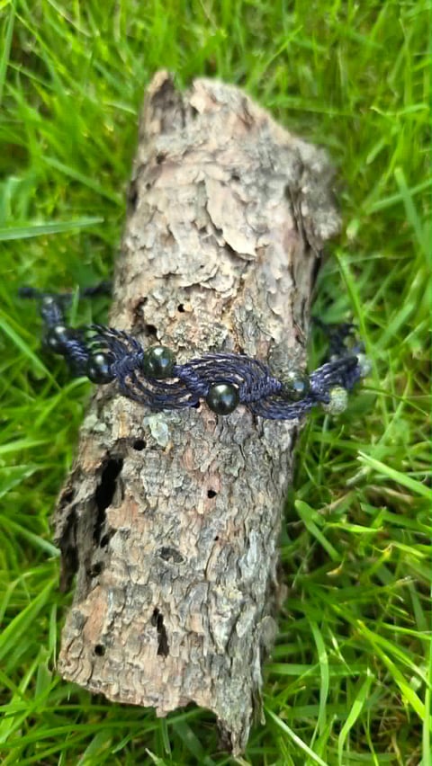 Black wasp moth with white-spotted wings resting on a lichen-covered branch surrounded by green grass