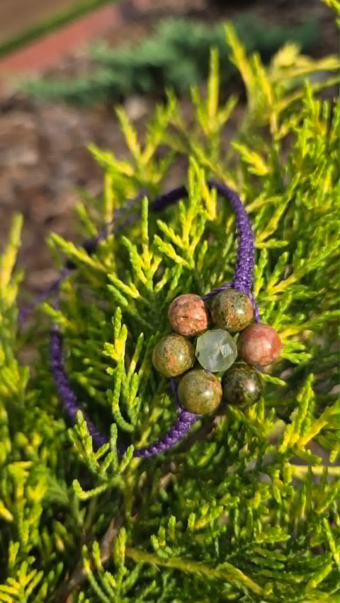 Close-up of juniper berries growing among yellow-green needle-like foliage with purple flowering stem