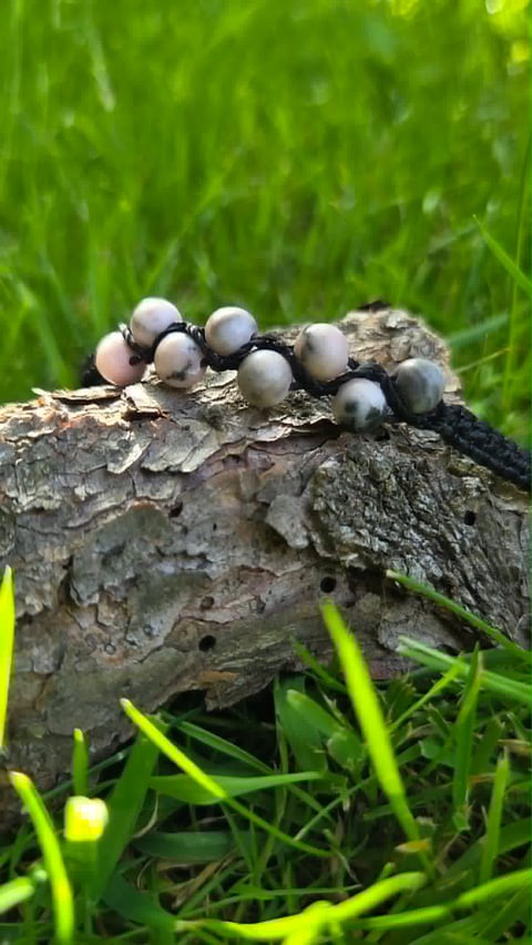 Cluster of pearlescent gray berries on weathered bark surrounded by green grass and moss