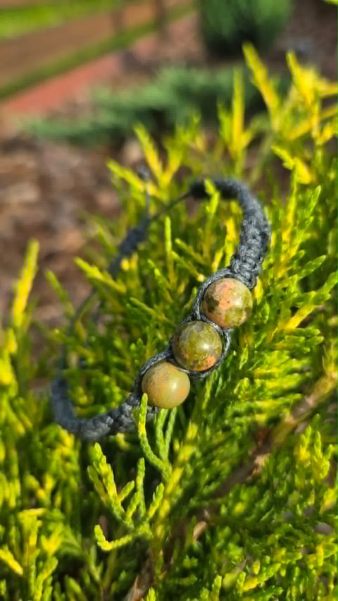 Close-up of moss with three golden-brown spore capsules on a dark stalk among bright green moss