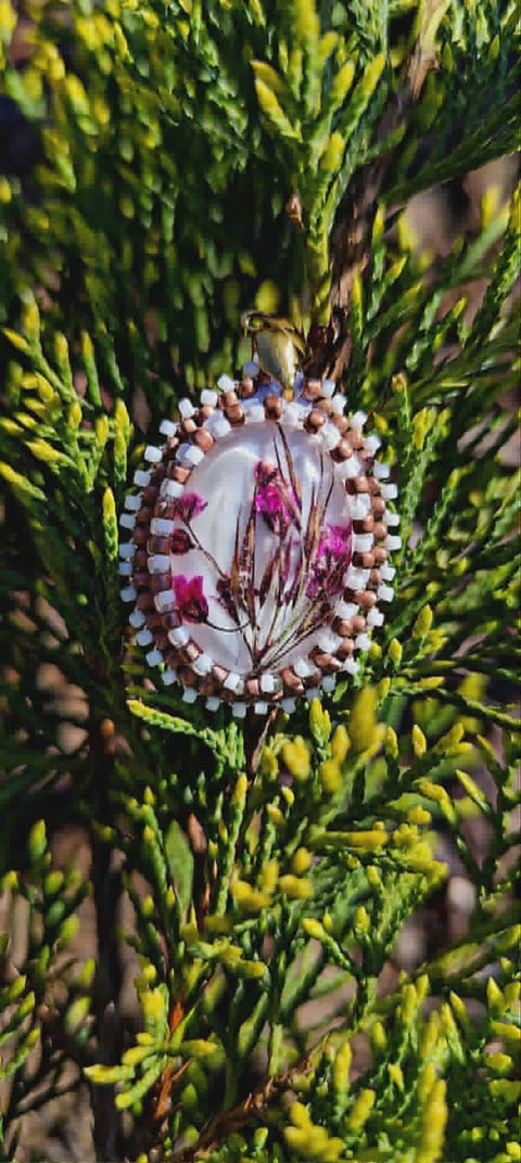 A small bee on an oval flower bud with white and brown beaded border surrounded by bright green needle-like foliage