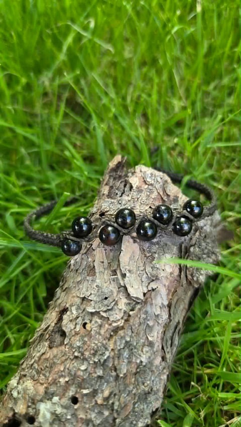 Spider with black eyes clustered on head perched on gray bark with green grass background