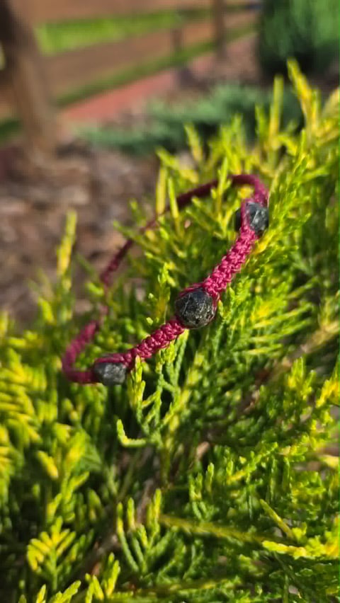 Pink caterpillar with black segments crawling on bright green needle-like foliage