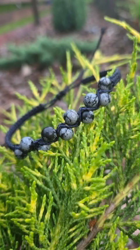 Close-up of a dark berry cluster on bright green needle-like foliage with blurred garden background