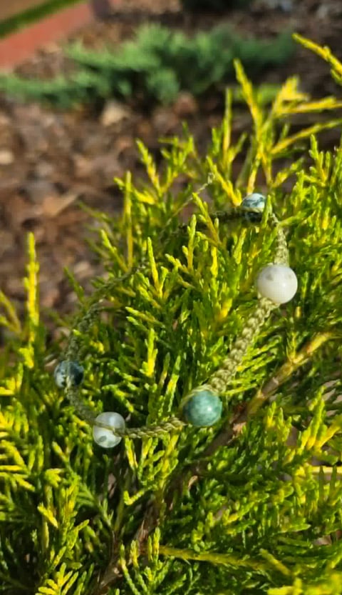 Close-up of water droplets on bright green moss or small plants in sunlight