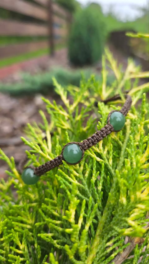 Close-up of bright green conifer branch with two small blue-green berries against a blurred garden background